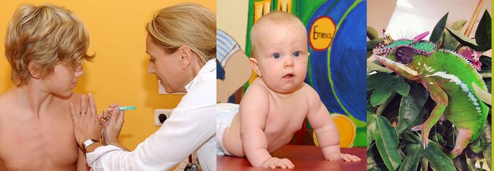 Patienten in der Privatpraxis für Kinder- und Jugendmedizin in Maintal. Ein buntes Chamäleon, das Symbol der Privatpraxis, sitzt auf einem grünen Zweig. Ein Baby in Windeln krabbelt während einer Untersuchung. Ein Jugendlicher empfängt eine Spritze.