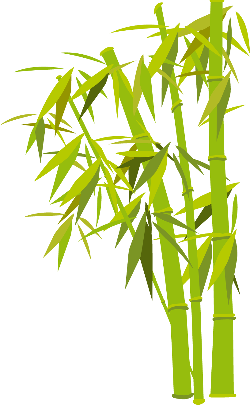 Creative Screen, Internetagentur