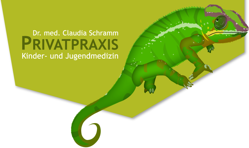 Creative Screen, Internetagentur