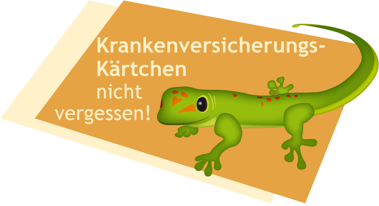 Creative Screen, Internetagentur